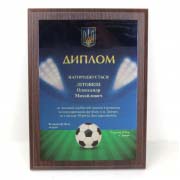Друк дипломів на металі
